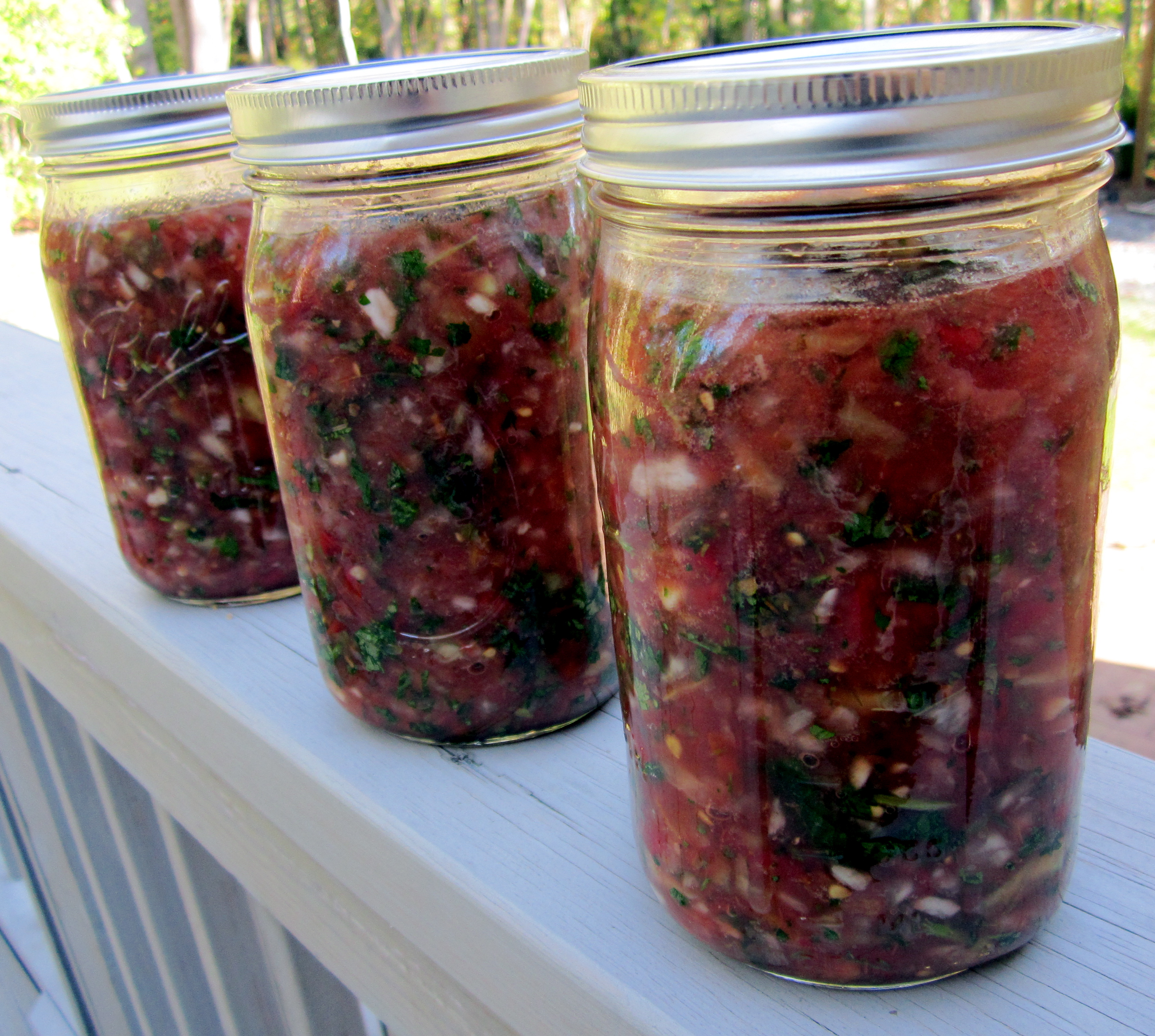 Lacto-fermented Salsa